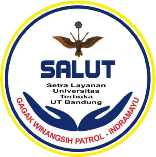 Logo SALUT